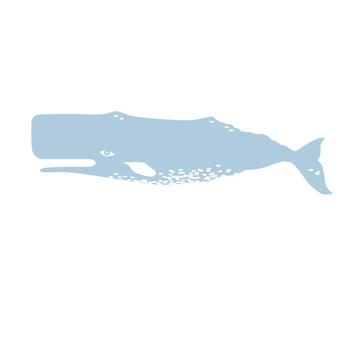 Whale Stationery