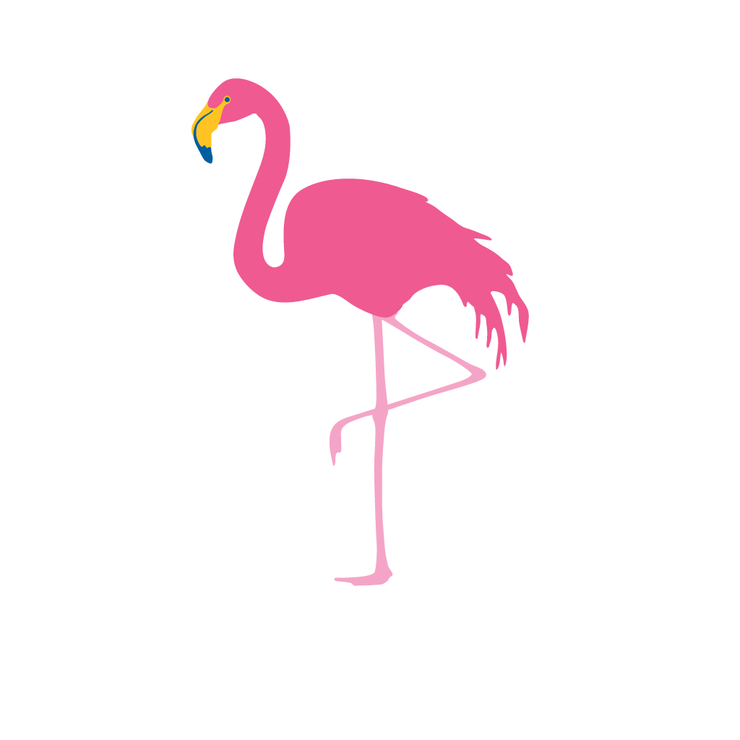 Flamingo Thank You Notes