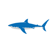 Shark Notepad